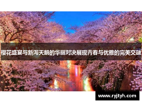 樱花盛宴与新泻天鹅的华丽对决展现青春与优雅的完美交融